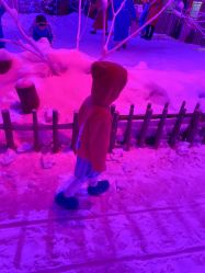 -圣名游乐城冰雪大世界