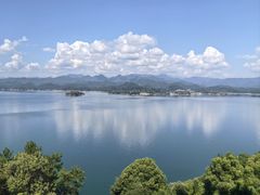 -浔味·山屿湖·正宗淳牌全鱼宴老字号