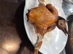 -鸽鸟轩(石岐店)