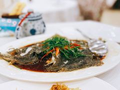 -湛江渔港·大排档(乐园路总店)