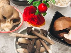 -新一哥粤菜火锅(瑞金店)
