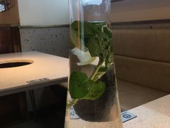 -老佛爷铜炉蛙锅(海岸城店)