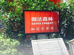 -咖法森林·咖啡  酒吧(天河店)