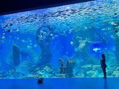 -哈尔滨波塞冬海底世界
