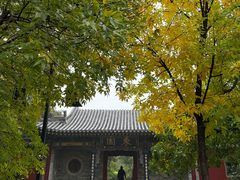 -晋祠公园