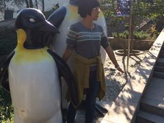 -石家庄市动物园