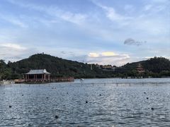 -顺峰山公园