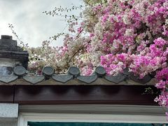 -深圳国际园林花卉博览园