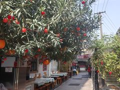 -福苗小骆驼烧烤(莲湖路店)