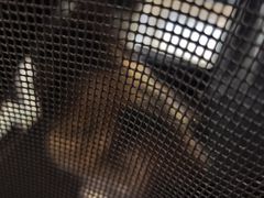 -伟伟宠物医院·CT影像中心·瑞派犬猫综合性门诊(汉口总院)