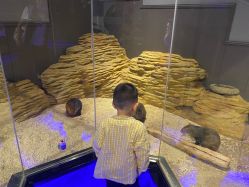 点击看大图 -未来动物城动物主题公园(大悦城店)