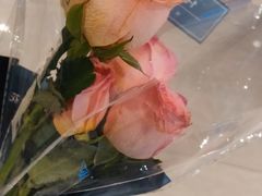 -七鲜超市(万向城店)