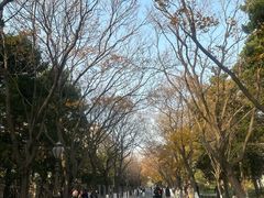 -青岛海滨风景区