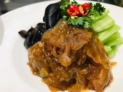 -天天鱼港·海鲜·鲅鱼水饺·招牌烤鸭(黄骅店)