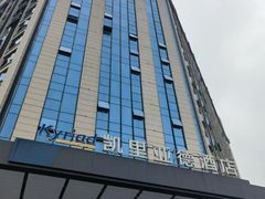 -凯里亚德酒店(深圳北站大浪商业中心店)
