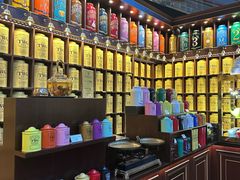 -新加坡瑞士史丹福酒店