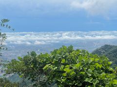 -泰山风景名胜区