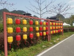 -靖西鹅泉风景区