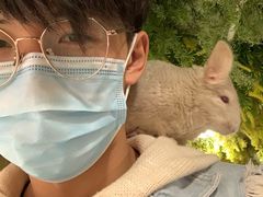 -藦茜花园宠物主题亲子互动体验馆(国顺东路店)