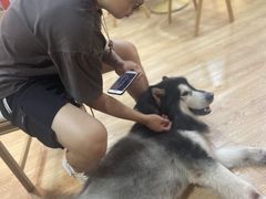 -白兔子密室(长寿路店)