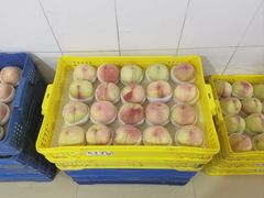 -老袁家蜜桃农场·阳山水蜜桃