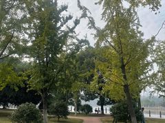 -食膳公园包子铺(烈士公园店)