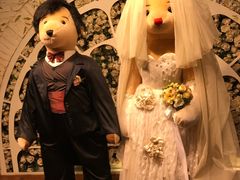 -济州岛泰迪熊博物馆