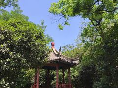 -太子山公园(园东路)