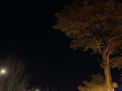 -田村(地铁站)