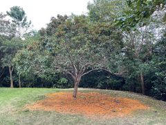 -敬亭山风景名胜区