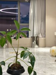 -KONSISTANT科思坦汀问题肌·科技美肤