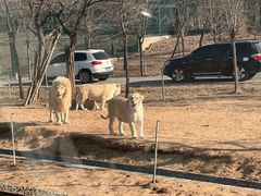 -秦皇岛野生动物园