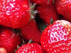 -昌平兴寿秀秀草莓采摘园