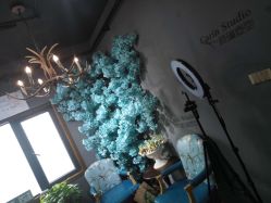 点击看大图 -柯琳造型直营店