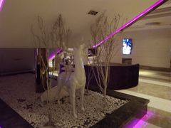 -佰迪乐KTV(阳桥店)
