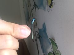 -乡乐园蟹庄·阳澄湖农家乐