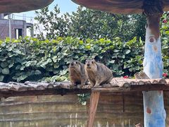 -泉州海丝野生动物世界