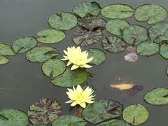 -国家植物园南园