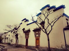 -广富林郊野公园