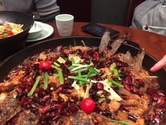 -老板恋上鱼(振华商厦店)