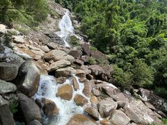 -海南热带雨林国家公园吊罗山景区