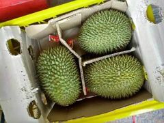 -都念榴莲·城市榴莲