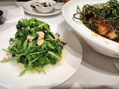 -新吉士·上海菜(浦东LCM置汇旭辉店)