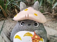 -望江楼公园