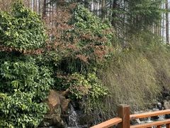 -上海怡沁园度假酒店