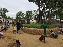-海珠儿童公园