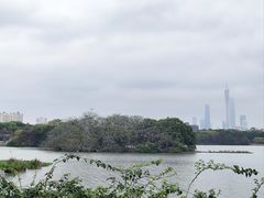 -海珠湖公园