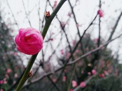 -白塘生态植物园