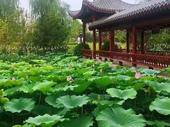 -云居湖