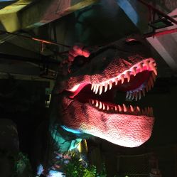 -恐龙探索乐园(磁器口店)